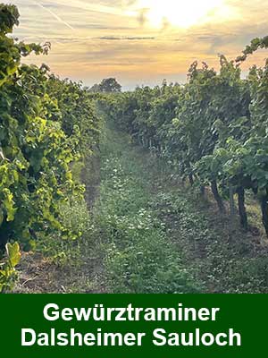 Gewürztraminer «S» süß