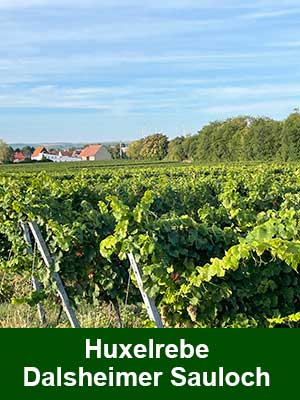 Huxelrebe Trocken­beeren­auslese edelsüß