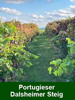 Portugieser Weißherbst lieblich