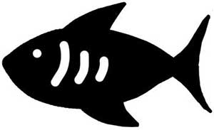 Grauburgunder feinherb Weißwein