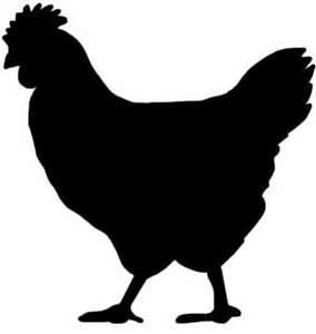 Grauburgunder feinherb Weißwein