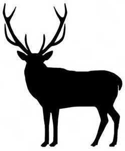 Grauburgunder feinherb Weißwein