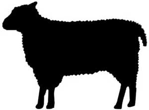 Grauburgunder feinherb Weißwein Grauburgunder feinherb Weißwein