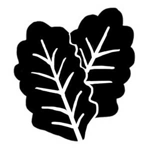 Grauburgunder feinherb Weißwein Grauburgunder feinherb Weißwein