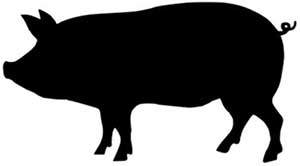 Grauburgunder feinherb Weißwein Grauburgunder feinherb Weißwein