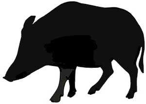 Grauburgunder feinherb Weißwein Grauburgunder feinherb Weißwein