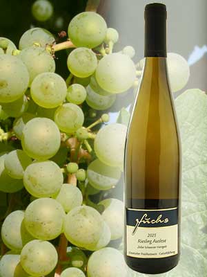 Riesling Auslese lieblich – Traube + Flasche