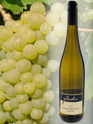 Sauvignon Blanc «Zero», alkoholfrei, histamingeprüft