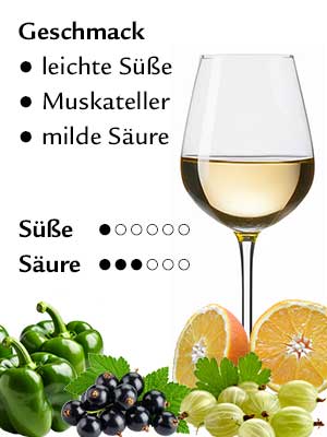 Sauvignon Blanc feinherb