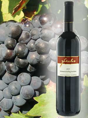 Schwarzriesling trocken