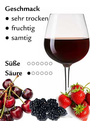 Spätburgunder trocken