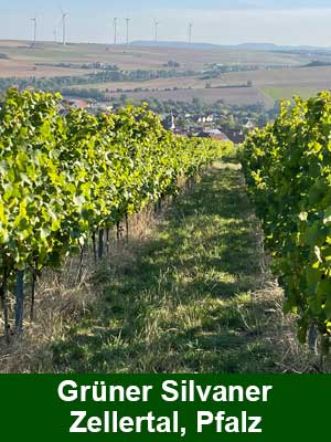 Grüner Silvaner trocken