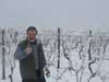 The vineyards in the snow